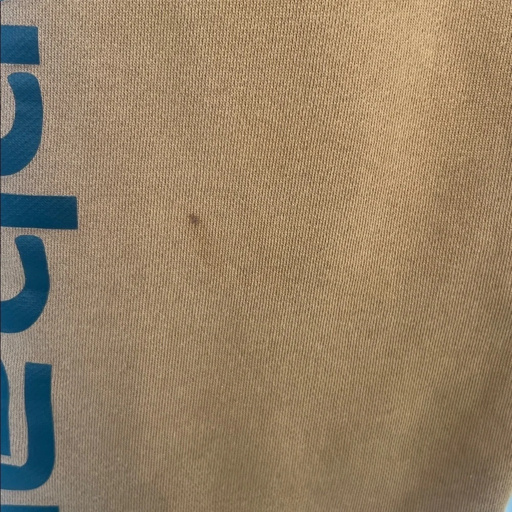 Carhartt Kids Tan Sweatpants Joggers Size Large